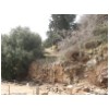 21 Banias - Roman road.jpg